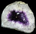 Purple Amethyst Geode - Uruguay #57215-1